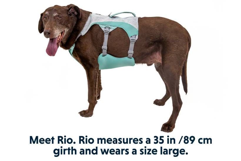Охолоджувальна шлейка для собак Ruffwear Swamp Cooler&trade; XS 43-56 см Зелений 30858 фото