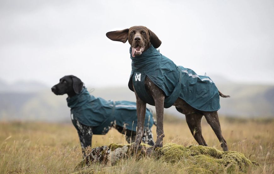 Дощовик для собак Non-stop dogwear Fjord lined Зелений 45 41327 фото
