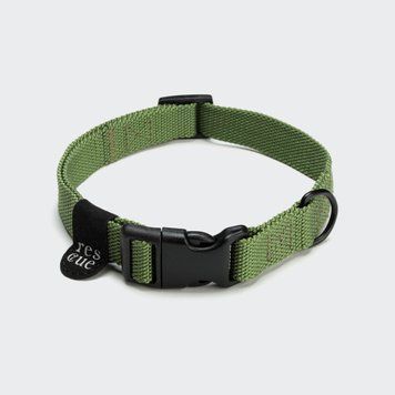 Повсякденний нашийник для собак Cloud7 Rescue Basic Зелений M 46093 фото