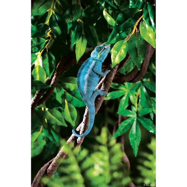 Рослина ExoTerra для тераріуму Jungle Vine Лоза S 1111116240 фото