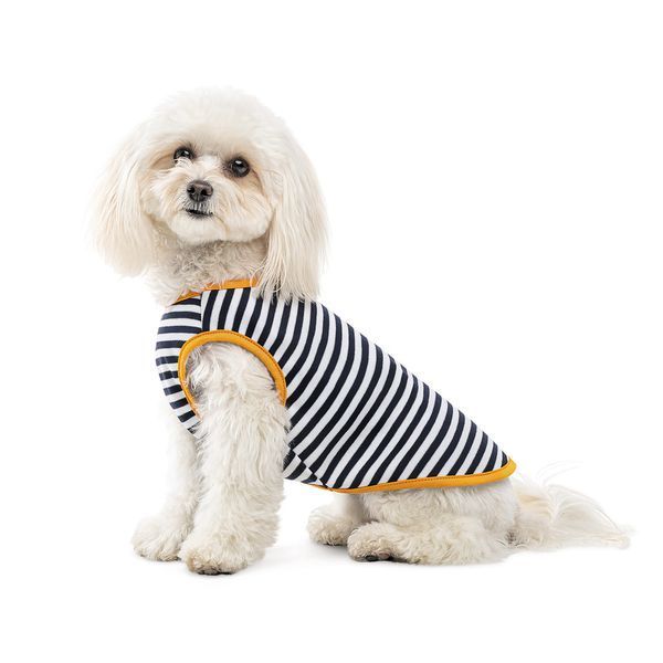 Борцівка Kale ТМ Pet Fashion для собак L смугаста 1111197906 фото