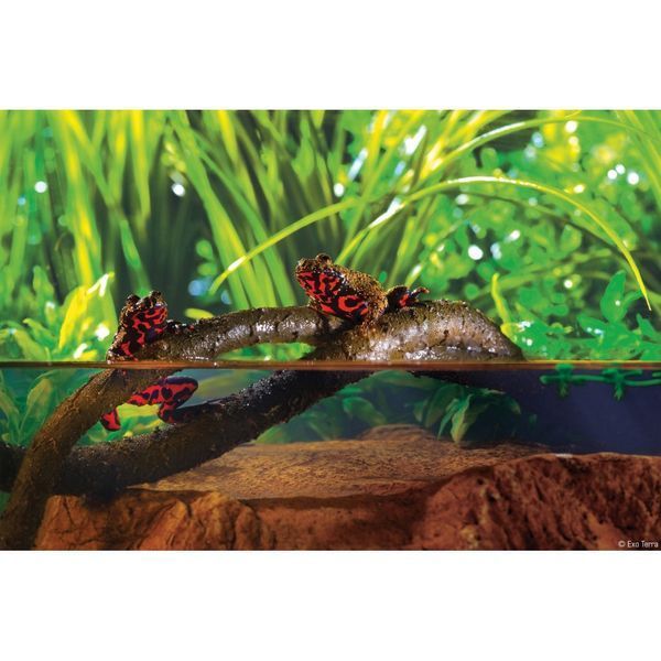 Рослина ExoTerra для тераріуму Jungle Vine Лоза S 1111116240 фото