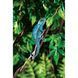 Рослина ExoTerra для тераріуму Jungle Vine Лоза S 1111116240 фото 2