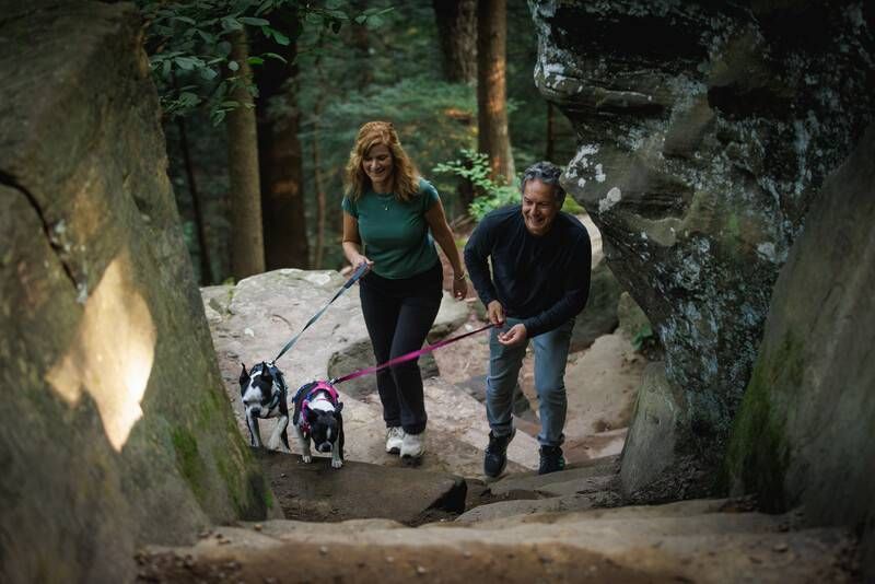 Полегшений повідець для собак Ruffwear Hi & Light&trade; Сірий 30914 фото