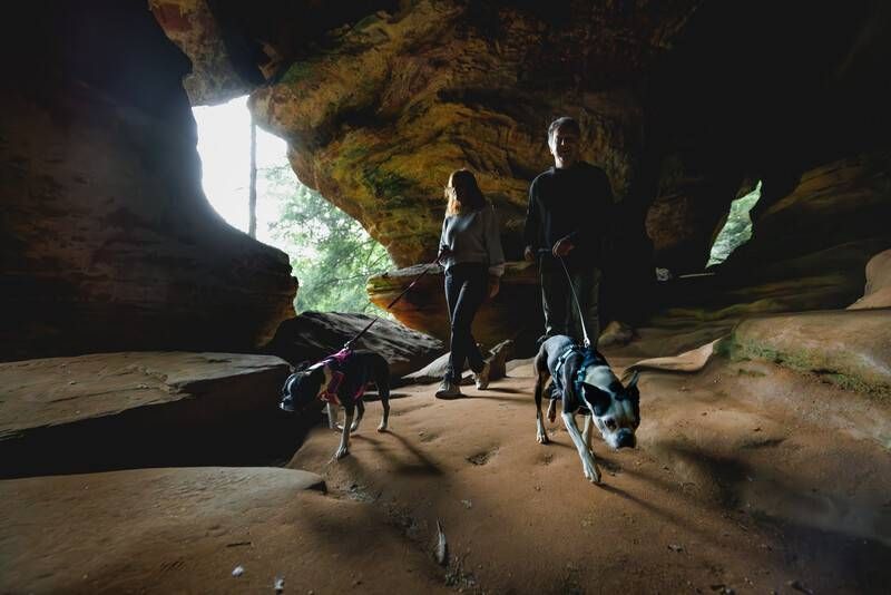 Полегшений повідець для собак Ruffwear Hi & Light&trade; Сірий 30914 фото