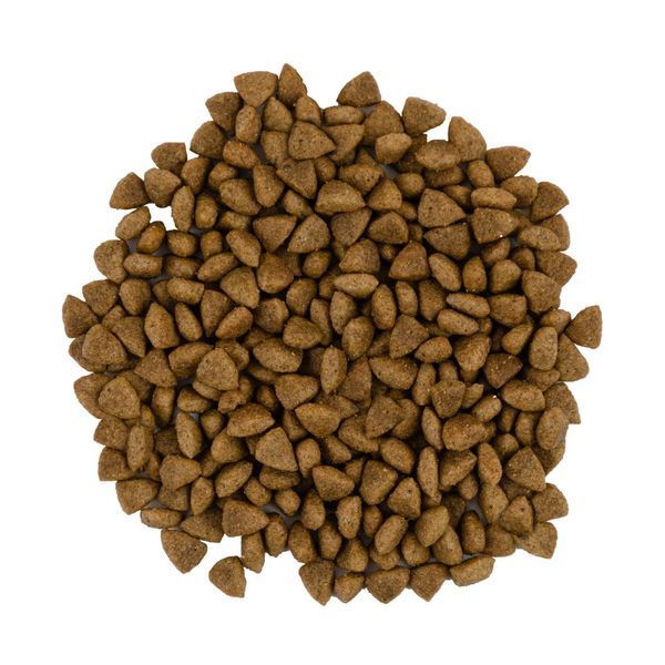 Корм сухий Savory Adult Cat Sensitive Digestion Fresh Lamb and Turkey для дорослих котів з чутливим травленням з ягнятиною т 1111163001 фото