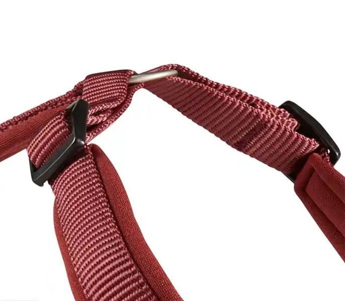 Шлейка для собак смягченная Wolters Professional Comfort 2A 45-50 см / 25 мм Бордовый 30055 фото