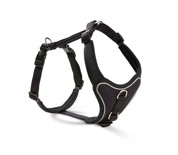 Шлейка для собак смягченная Wolters Professional Comfort 2A 45-50 см / 25 мм Черный 28284 фото