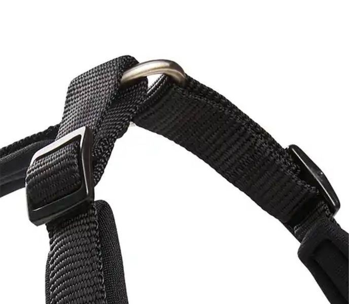 Шлейка для собак смягченная Wolters Professional Comfort 2A 45-50 см / 25 мм Черный 28284 фото