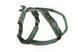 Шлея для собак Line harness 5.0 Non-stop dogwear Зеленый 1 40616 фото 1