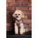 Жилет Pet Fashion Hardy для собак утеплений водонепроникний з отвором для повідця бежевий розмір XS 1111182497 фото 4