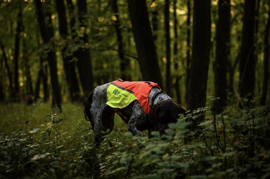 Жилет для собак Non-stop dogwear Protector vest 2.0 Помаранчевий S 41193 фото