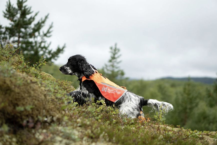 Жилет для собак Non-stop dogwear Protector vest 2.0 Помаранчевий S 41193 фото