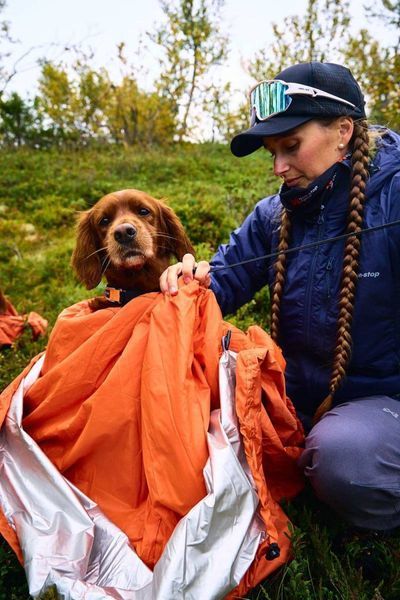 Спальный мешок для собак Bivvy bag Non-stop dogwear Оранжевый M 40553 фото