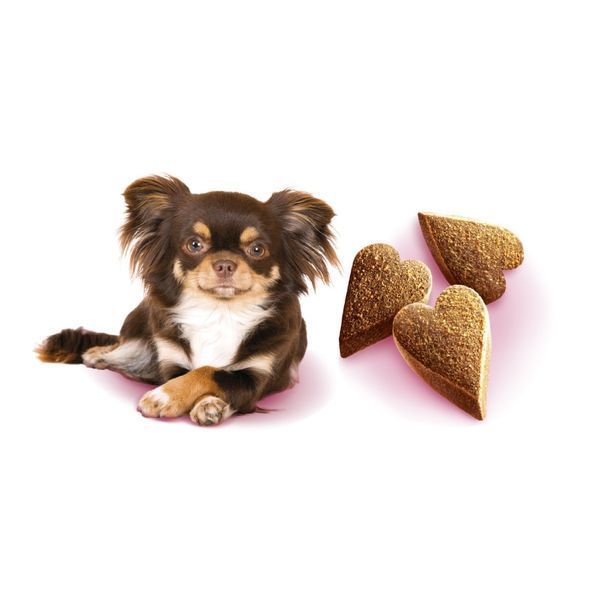 Ласощі Brit Care Mini Treats Mood для собак малих порід проти стресу ягня смак ваніль 50 г 1111210199 фото