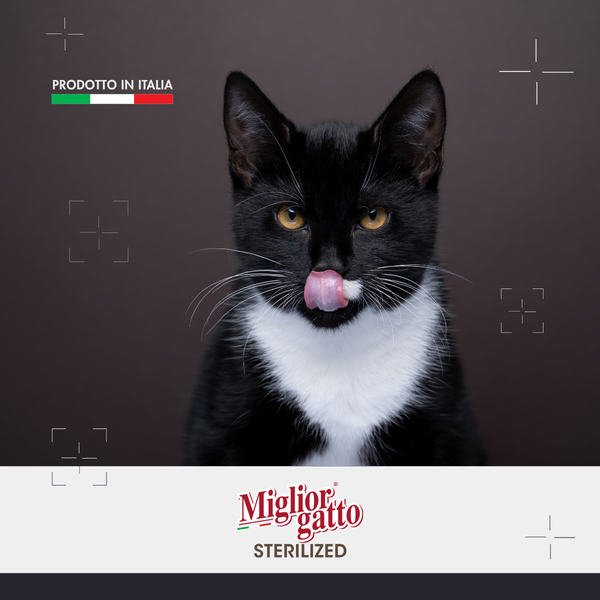 Сухий корм для стерилізованих котів Morando Migliorgatto Sterilized з яловичиною 400 g 01485 фото