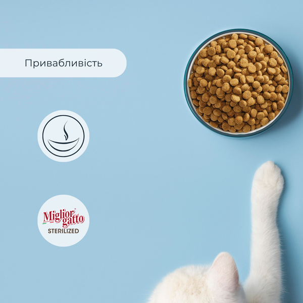 Сухий корм для стерилізованих котів Morando Migliorgatto Sterilized з яловичиною 400 g 01485 фото