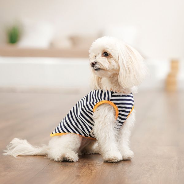 Борцівка Kale ТМ Pet Fashion для собак XS2 смугаста 1111197909 фото