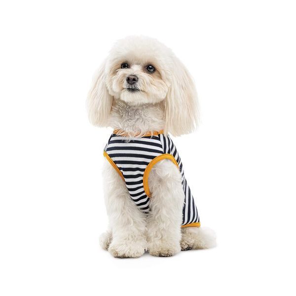 Борцівка Kale ТМ Pet Fashion для собак XS2 смугаста 1111197909 фото