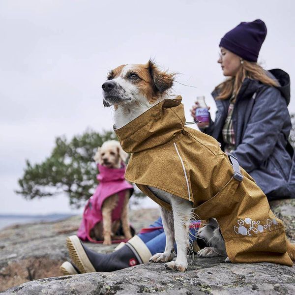 Дощовик для собак Hurtta Monsoon coat II ECO Рожевий 55 33358 фото