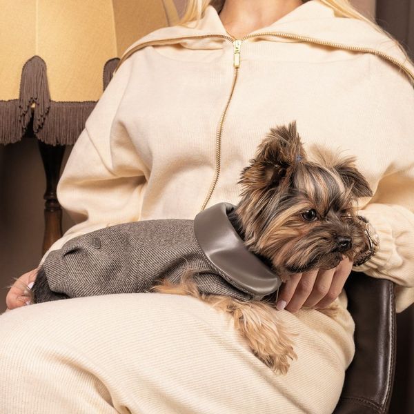 Жакет Pet Fashion Harry для собак коричневий XS2 1111171992 фото