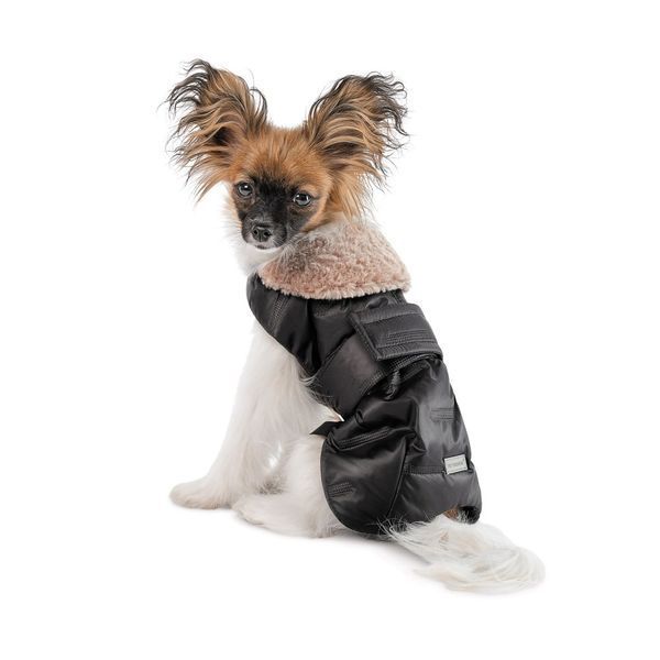 Попона Pet Fashion Ted для собак чорний/сірий M 1111205097 фото