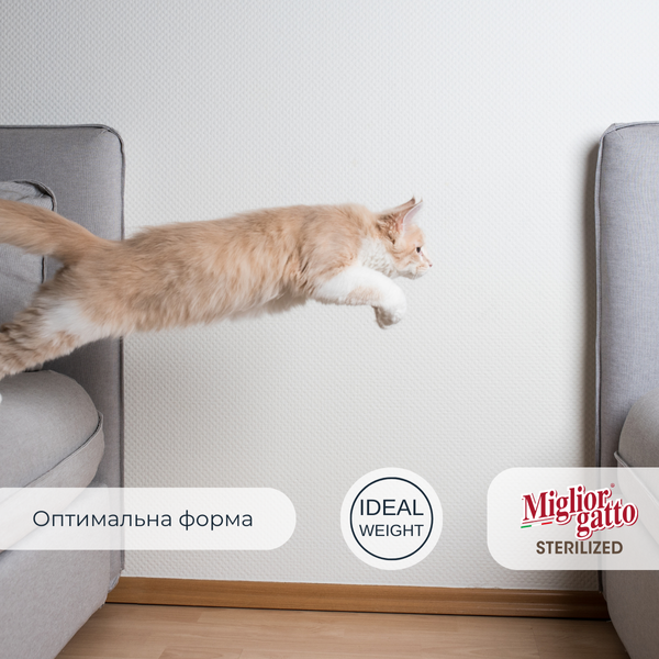 Сухий корм для стерилізованих котів Morando Migliorgatto Sterilized з яловичиною 1,5 kg 10563 фото