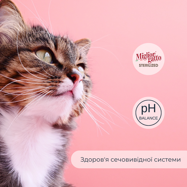 Сухий корм для стерилізованих котів Morando Migliorgatto Sterilized з яловичиною 1,5 kg 10563 фото