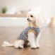 Борцівка Kale ТМ Pet Fashion для собак XS2 смугаста 1111197909 фото 4